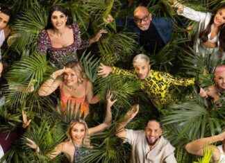 Entdecken Sie die neuesten Innovationen im Dschungel der Kakerlaken-Fabrik entdecken-sie-die-neuesten-nnovationen-im-dschungel-der-kakerlaken-fabrik