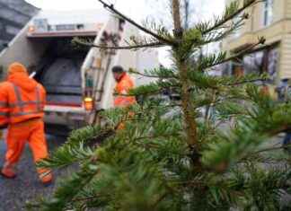 Entsorgungstermine für Weihnachtsbäume in Düsseldorf 2025 entsorgungstermine-fr-weihnachtsbume-in-dsseldorf-2025