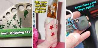 Entwickelt von Genie am 25. Januar entwickelt-von-genie-am-25-januar