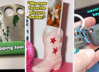 Entwickelt von Genie am 25. Januar entwickelt-von-genie-am-25-januar