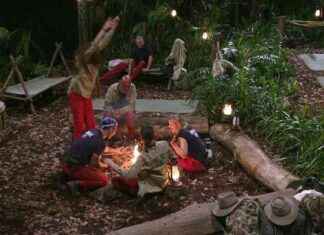 Erster Tag im Dschungel: Begegnung mit Giftschlangen und Hexen erster-tag-im-dschungel-begegnung-mit-giftschlangen-und-hexen