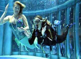 Events in Düsseldorf: Highlights im Januar 2025! events-in-dsseldorf-highlights-im-januar-2025