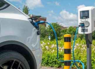 Experte kritisiert Grüne Pläne für E-Auto: Wahlkampf-Geschwätz – Analyse experte-kritisiert-grne-plne-fr-e-auto-wahlkampf-geschwtz-analyse