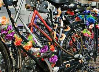 Fahrradversteigerung in Düsseldorf: Fundbüro-Auktion am Montag – Ddorf-Aktuell fahrradversteigerung-in-dsseldorf-fundbro-auktion-am-montag-ddorf-aktuell