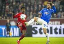 Fortuna Düsseldorf verspielt Zwei-Tore-Führung gegen Darmstadt: 2:2 zum Start der Rückrunde fortuna-dsseldorf-verspielt-zwei-tore-fhrung-gegen-darmstadt-22-zum-start-der-rckrunde