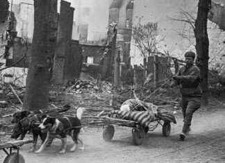 Fotos aus sowjetischer Sicht: Der Zweite Weltkrieg in Bildern fotos-aus-sowjetischer-sicht-der-zweite-weltkrieg-in-bildern