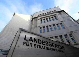 Freispruch in Wien: Syrer zahlt 100 Euro Wiedergutmachung für Missbrauch von zwölfjährigem Mädchen freispruch-in-wien-syrer-zahlt-100-euro-wiedergutmachung-fr-missbrauch-von-zwlfjhrigem-mdchen