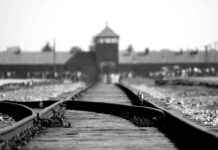 Gedenken an die Befreiung von Auschwitz | SAT.1 NRW – Infos zur Sendung gedenken-an-die-befreiung-von-auschwitz-sat1-nrw-nfos-zur-sendung