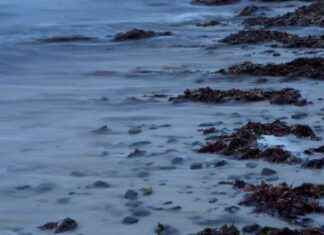 Geheimnisvolle Dunkelheit: Neue Rätsel um den Sauerstoff in der Tiefsee geheimnisvolle-dunkelheit-neue-rtsel-um-den-sauerstoff-in-der-tiefsee