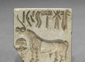 Geheimnisvoller historischer Code trotz hoher Belohnung ungelöst geheimnisvoller-historischer-code-trotz-hoher-belohnung-ungelst