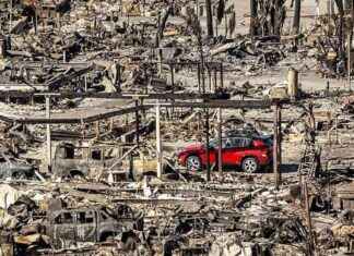 Gouverneur: Räumungsfrist von sechs bis neun Monaten in Los Angeles gouverneur-rumungsfrist-von-sechs-bis-neun-monaten-in-los-angeles