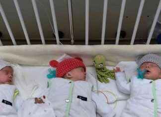 Gründe für den Rückgang der Geburtenrate in München grnde-fr-den-rckgang-der-geburtenrate-in-mnchen