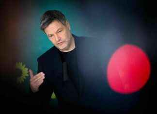 Grüne Krankenversicherung: Schutzschild für alle grne-krankenversicherung-schutzschild-fr-alle