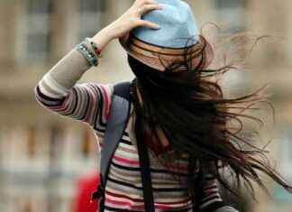 Gurken, Chemnitz, Abstinenz: Trends für 2025 in Deutschland gurken-chemnitz-abstinenz-trends-fr-2025-in-deutschland