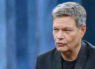 Habeck attackiert Linnemann: Kritik an strategischer Naivität und politischer Fehleinschätzung habeck-attackiert-linnemann-kritik-an-strategischer-naivitt-und-politischer-fehleinschtzung