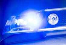 Jugendlicher verursacht Chaos mit Pfefferspray in Lebensmittelgeschäft jugendlicher-verursacht-chaos-mit-pfefferspray-in-lebensmittelgeschft
