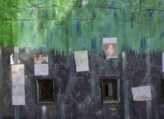 Leben nach Folter: Überlebender Syrer findet Neuanfang im Allgäu leben-nach-folter-berlebender-syrer-findet-neuanfang-im-allgu