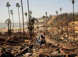 Lucy Walker’s Film über Waldbrände 2021: Menschen neigen dazu, zuzuhören lucy-walkers-film-ber-waldbrnde-2021-menschen-neigen-dazu-zuzuhren