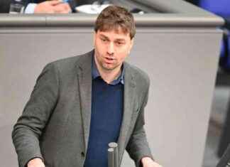 Medien verlieren Gerichtsfall gegen Gelbhaar medien-verlieren-gerichtsfall-gegen-gelbhaar