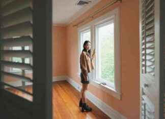 Mel Gibsons ‘Flight Risk’ führt die Kinocharts an, ‘The Brutalist’ erweitert mel-gibsons-flight-risk-fhrt-die-kinocharts-an-the-brutalist-erweitert