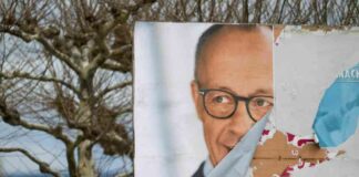 merz-und-afd-deutschland-wird-etwas-sterreichischer