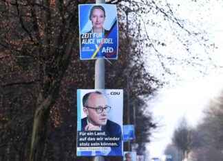 Merz und die AfD: Ende der Brandmauer? merz-und-die-afd-ende-der-brandmauer