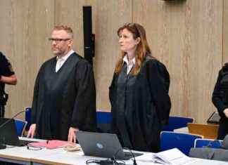 Motive für Morde an Ukrainischen Frauen in Mannheim: Babywunsch als Auslöser motive-fr-morde-an-ukrainischen-frauen-in-mannheim-babywunsch-als-auslser