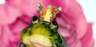 Märchenwochen in Düsseldorf: Start am 25. Januar – Aktuelle News aus Ddorf mrchenwochen-in-dsseldorf-start-am-25-januar-aktuelle-news-aus-ddorf