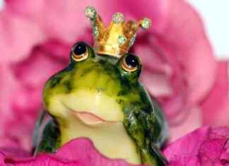 Märchenwochen in Düsseldorf: Start am 25. Januar – Ddorf-Aktuell mrchenwochen-in-dsseldorf-start-am-25-januar-ddorf-aktuell