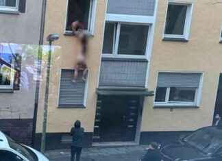 Nackte Frau am Fenster: SAT.1 NRW Infopage – Sendungsfokus und Highlights nackte-frau-am-fenster-sat1-nrw-nfopage-sendungsfokus-und-highlights