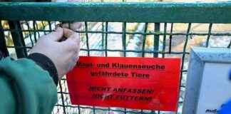 neue-reiseregelungen-in-london-aufgrund-von-maul-und-klauenseuche-bedrohung