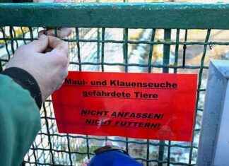 Neue Reiseregelungen in London aufgrund von Maul- und Klauenseuche Bedrohung neue-reiseregelungen-in-london-aufgrund-von-maul-und-klauenseuche-bedrohung