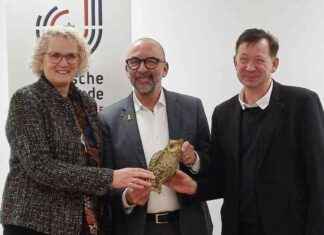 Neue Sprecherin der Liga Wohlfahrt Düsseldorf – Aktuelle Nachrichten aus Ddorf neue-sprecherin-der-liga-wohlfahrt-dsseldorf-aktuelle-nachrichten-aus-ddorf