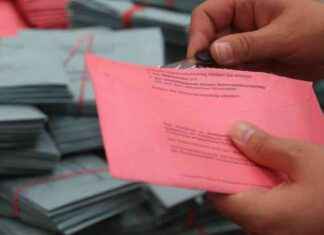 Neue Suchmaschine für Auslandsdeutsche: Grüne bei Bundestagswahl 2025 neue-suchmaschine-fr-auslandsdeutsche-grne-bei-bundestagswahl-2025