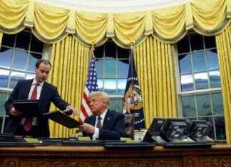 Neuer Artikel: Trumps Frontalangriff auf die US-Ordnung neuer-artikel-trumps-frontalangriff-auf-die-us-ordnung