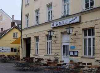 Neuer P1-Chef übernimmt Lucullus: Pläne ab März enthüllt neuer-p1-chef-bernimmt-lucullus-plne-ab-mrz-enthllt