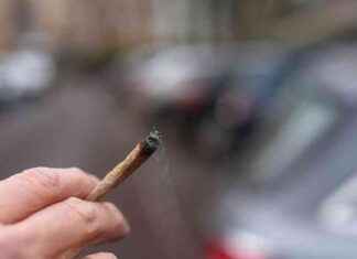 Neuer Titel: Experten fordern schärfere Cannabis-Grenzwerte für sicheres Fahren neuer-titel-experten-fordern-schrfere-cannabis-grenzwerte-fr-sicheres-fahren