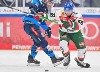 Niederlage für den AEV im einseitigen Panther-Duell niederlage-fr-den-aev-im-einseitigen-panther-duell