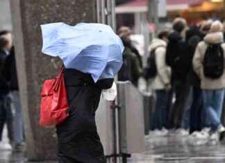 Orkanartige Böen in NRW: Sturm-Chaos und mögliche Auswirkungen orkanartige-ben-in-nrw-sturm-chaos-und-mgliche-auswirkungen