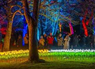 Parkleuchten 2025 im Grugapark Essen: Öffnungszeiten, Highlights und Informationen parkleuchten-2025-im-grugapark-essen-ffnungszeiten-highlights-und-nformationen