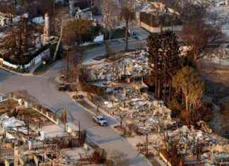 Polizei nimmt Feuermann-Plünderer bei Großbränden in Los Angeles fest polizei-nimmt-feuermann-plnderer-bei-grobrnden-in-los-angeles-fest