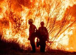 Promi-Siedlung von verheerendem Brand heimgesucht: 10 Tote in Flammeninferno promi-siedlung-von-verheerendem-brand-heimgesucht-10-tote-in-flammeninferno