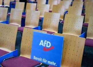 Proteste gegen AfD-Parteitag in Riesa: Alles, was Sie wissen müssen proteste-gegen-afd-parteitag-in-riesa-alles-was-sie-wissen-mssen