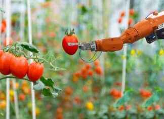 Revolution der Landwirtschaft: Künstliche Intelligenz im Fokus revolution-der-landwirtschaft-knstliche-ntelligenz-im-fokus