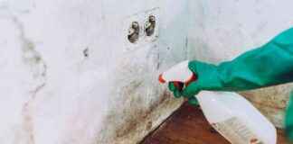 Schimmel entfernen: Experten-Tipps für saubere Wände schimmel-entfernen-experten-tipps-fr-saubere-wnde