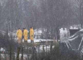 Schutzmaßnahmen gegen Maul- und Klauenseuche: Krisenstäbe beraten schutzmanahmen-gegen-maul-und-klauenseuche-krisenstbe-beraten