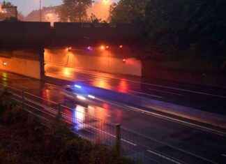 Schwerer Unfall im Autobahntunnel Düsseldorf: Pferd stürzt von Anhänger schwerer-unfall-im-autobahntunnel-dsseldorf-pferd-strzt-von-anhnger
