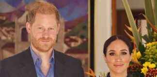 sind-die-begriffe-katastrophentouristen-beleidigend-fr-harry-und-meghan