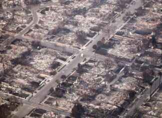 State Farm zieht Super Bowl-Werbung zurück: Fokus auf Unterstützung für die Menschen von Los Angeles state-farm-zieht-super-bowl-werbung-zurck-fokus-auf-untersttzung-fr-die-menschen-von-los-angeles