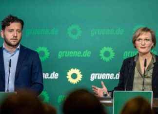 Stefan Gelbhaar Skandal: Grüne Partei erstattet Strafanzeige stefan-gelbhaar-skandal-grne-partei-erstattet-strafanzeige